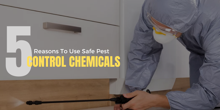 Safe Pest Control Chemicals