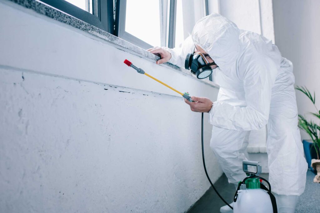 Pest technician spraying pesticide