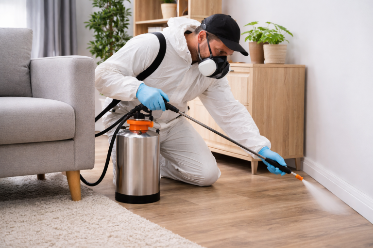 A technician sprays the floorspace of a home for fleas.