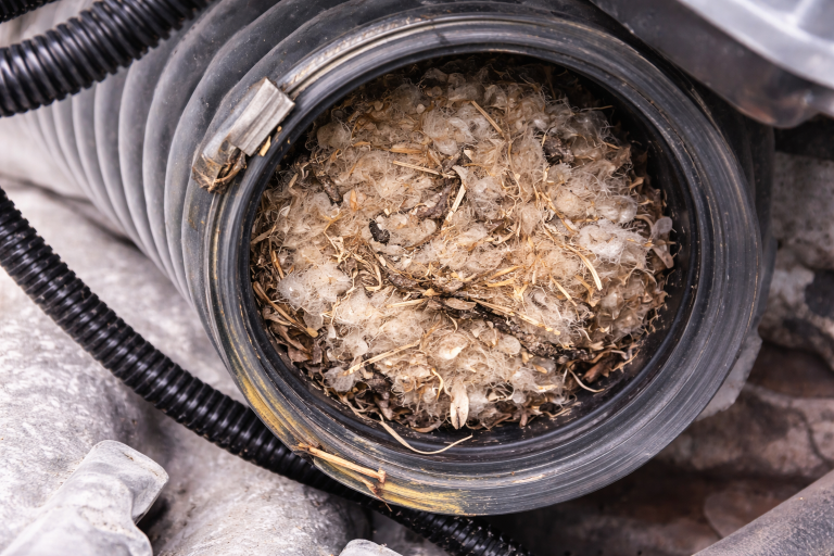 An air filter hose if filled with rodent nesting debris.