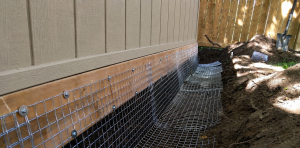 Animal-proof wire mesh lined along the bottom of a shed.