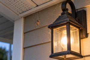 A spider in a web by a porch light.