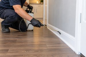 A pest control technician spraying the baseboards of a house.
